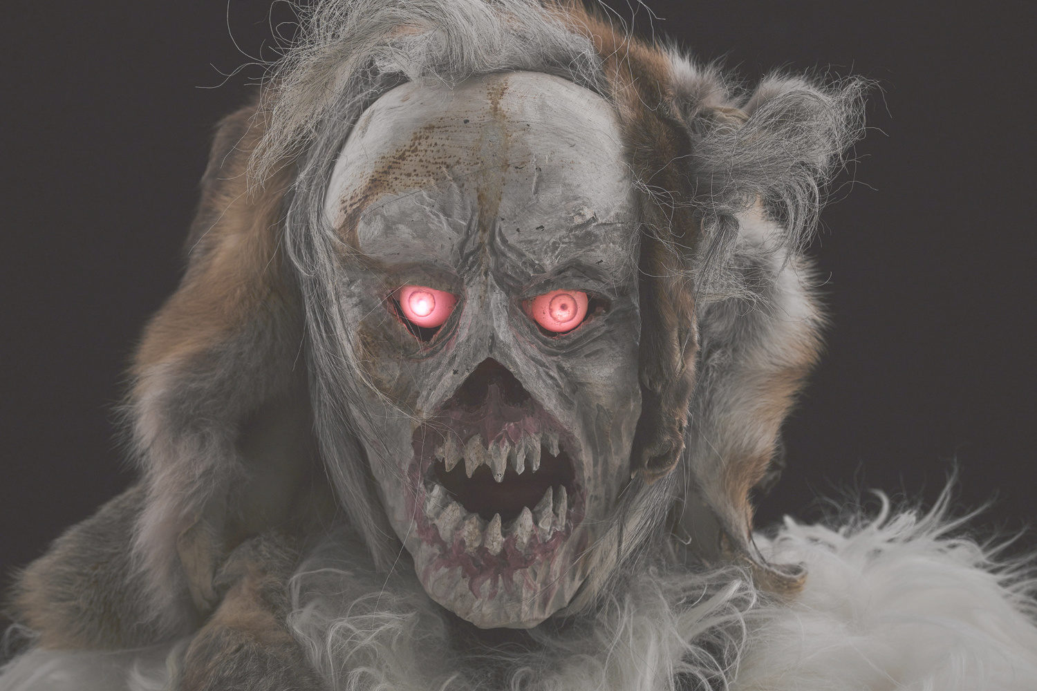 レンタルサービス ギャラリー6