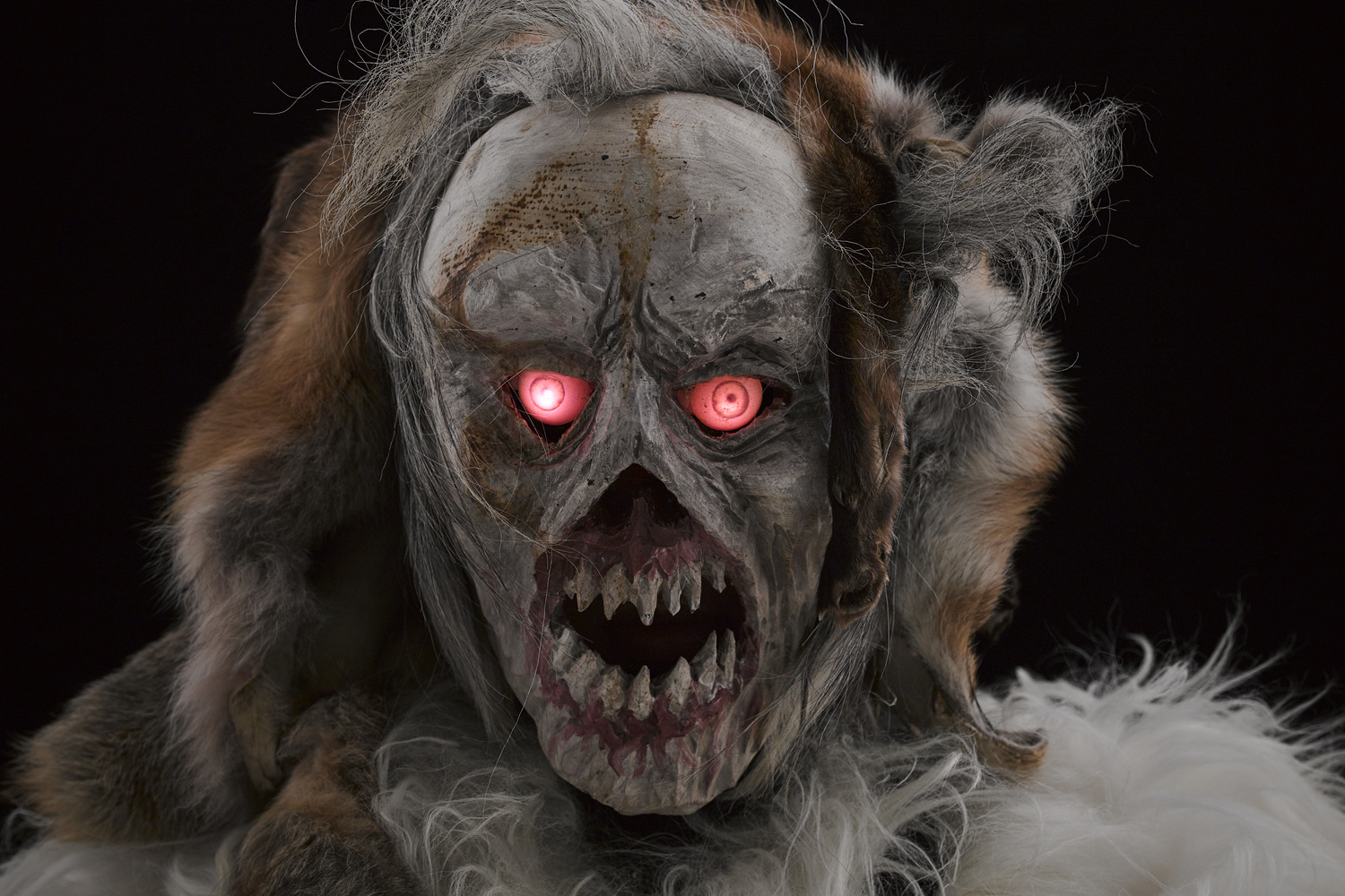 レンタルサービス ギャラリー6